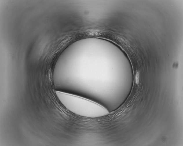 X0000094181444200710260921