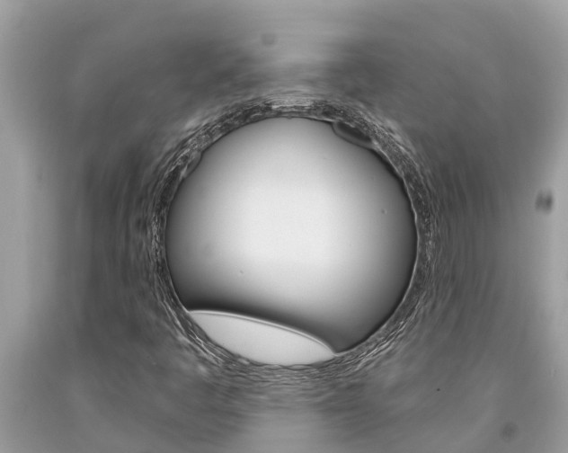X0000094181445200710260921