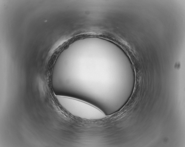 X0000094181448200710260921