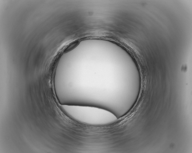 X0000094181451200710260921