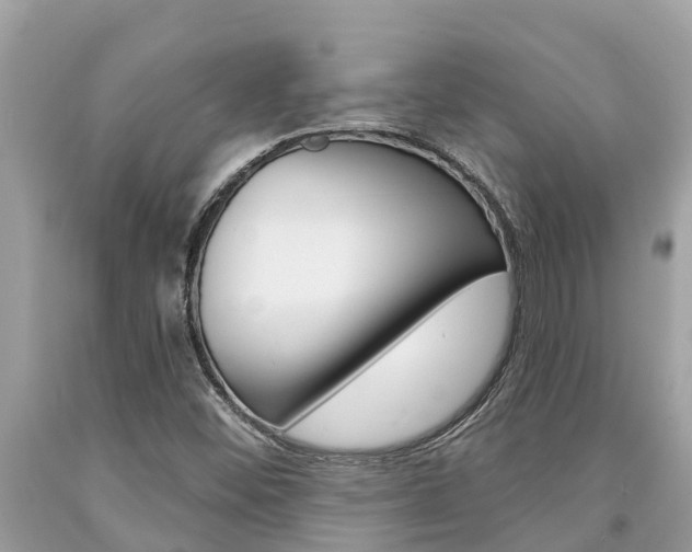 X0000094181452200710260921