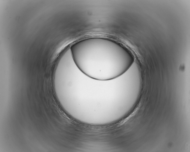 X0000094181453200710260921