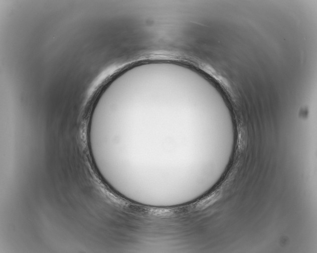 X0000094181454200710260921