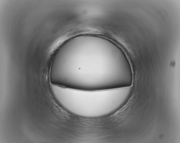X0000094181455200710260921