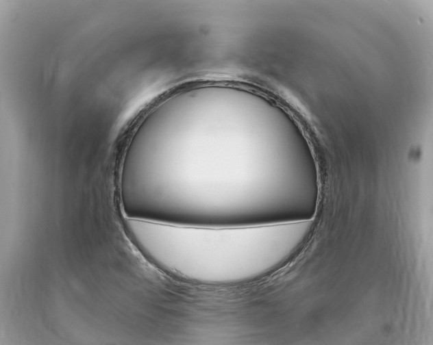 X0000094181456200710260921
