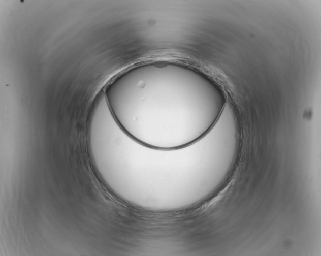 X0000094181457200710260921