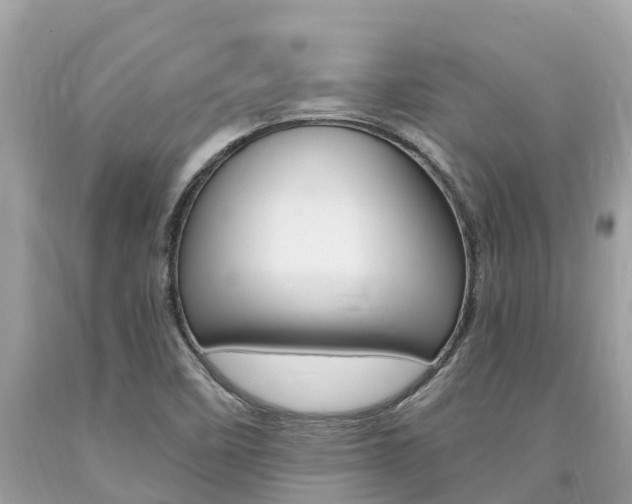 X0000094181458200710260921