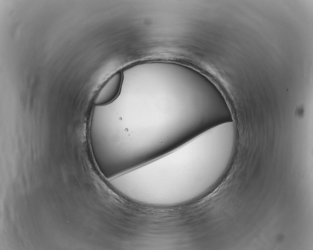 X0000094181459200710260921