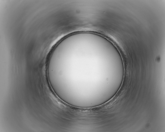 X0000094181460200710260921