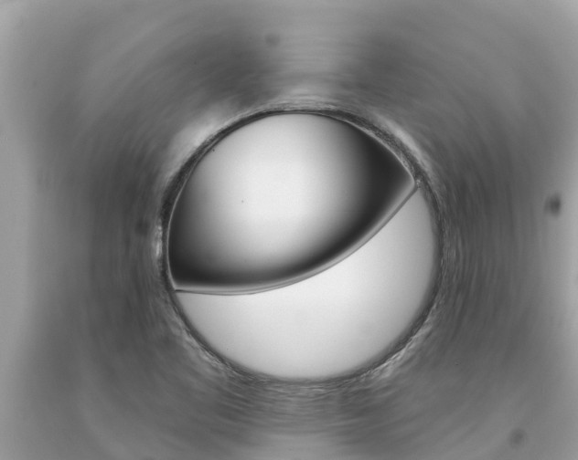 X0000094181461200710260921
