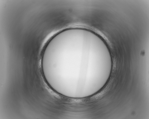 X0000094181462200710260921