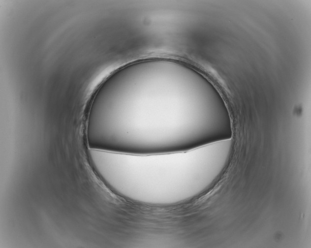 X0000094181463200710260920