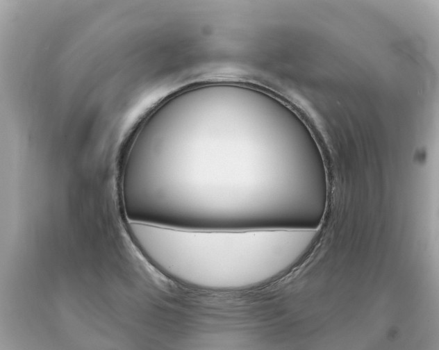 X0000094181464200710260920