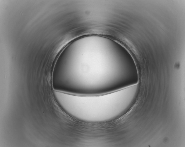 X0000094181465200710260920