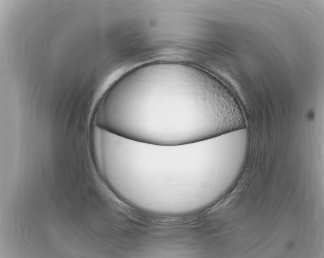 X0000094181467200710260920