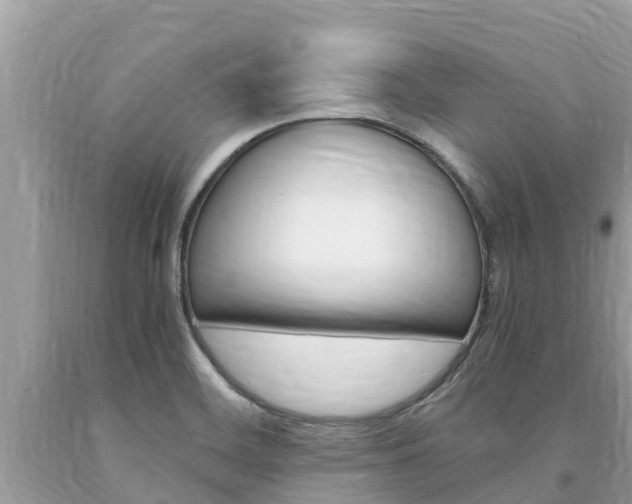 X0000094181468200710260920