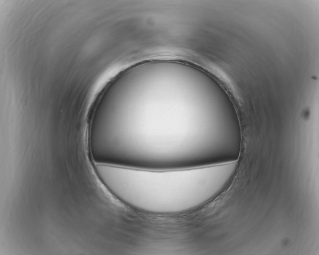 X0000094181472200710260920