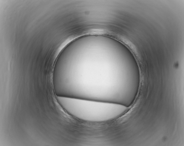 X0000094181473200710260920