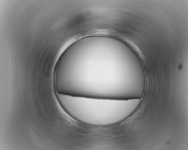 X0000094181475200710260920