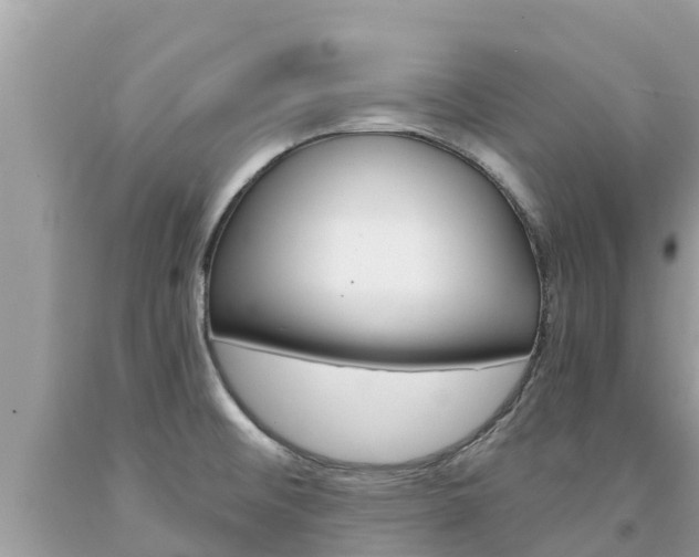 X0000094181476200710260920