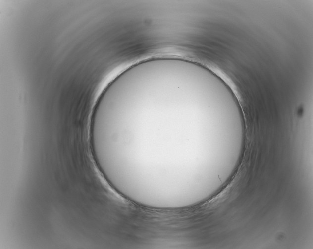 X0000094181477200710260920
