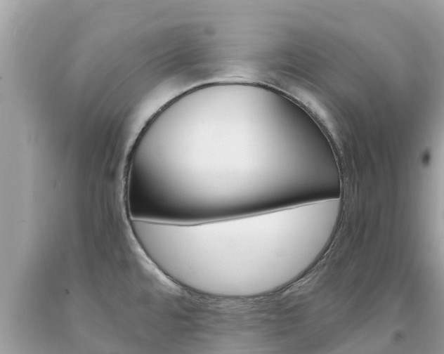X0000094181480200710260920