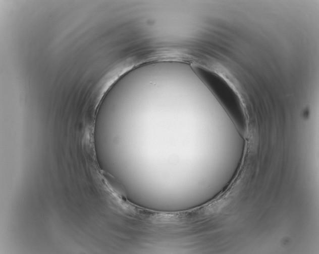 X0000094181481200710260920