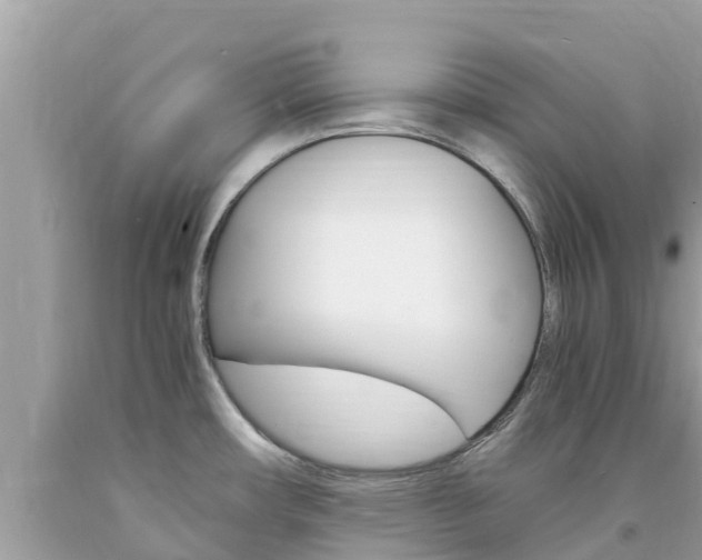 X0000094181482200710260920