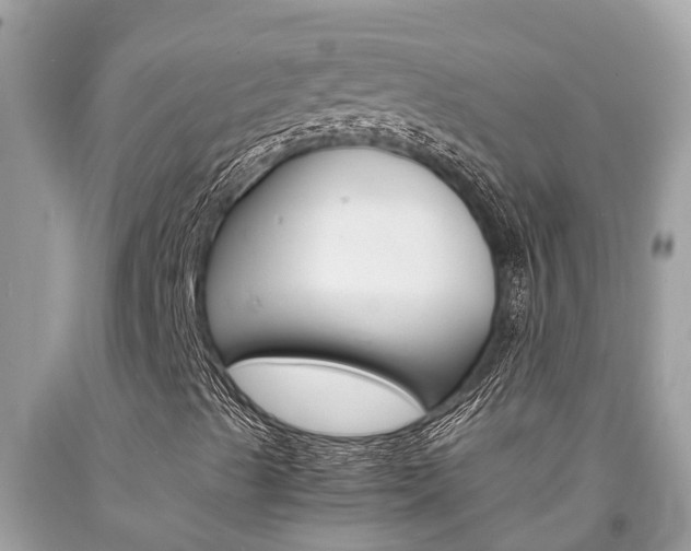 X0000094181489200710260919