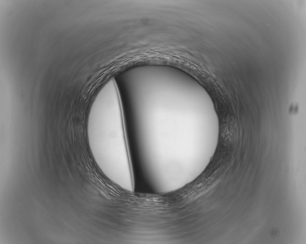 X0000094181490200710260919