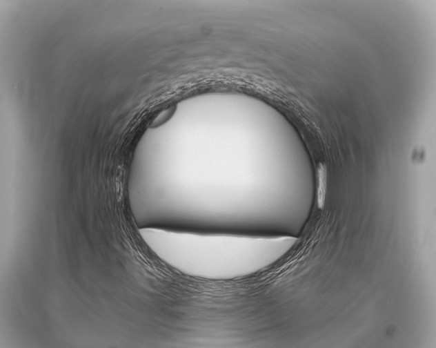 X0000094181491200710260919