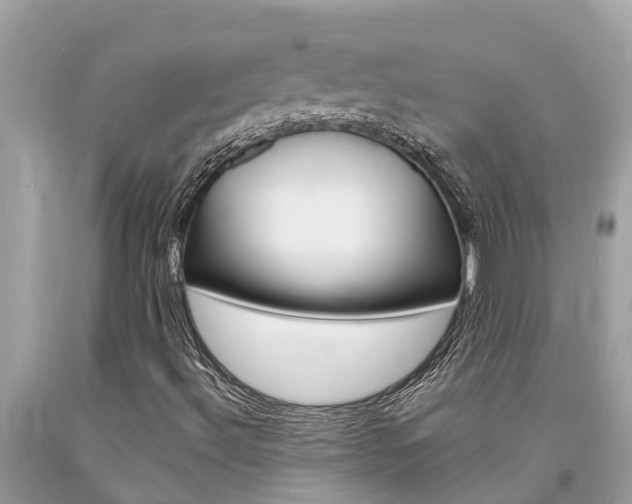 X0000094181492200710260919