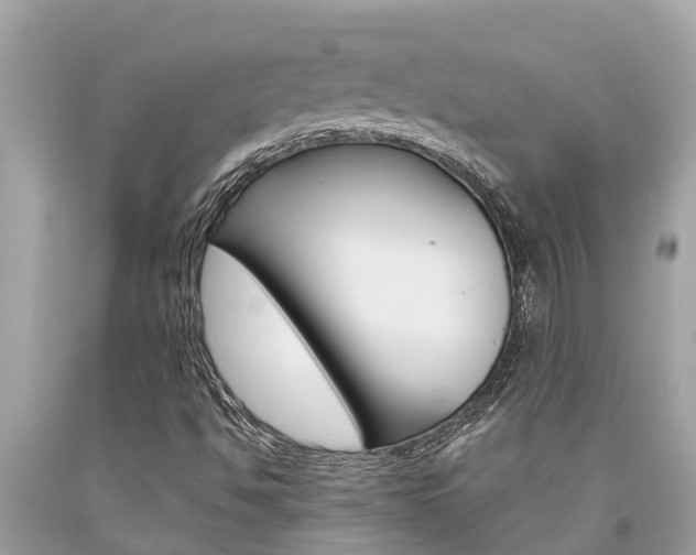 X0000094181494200710260919