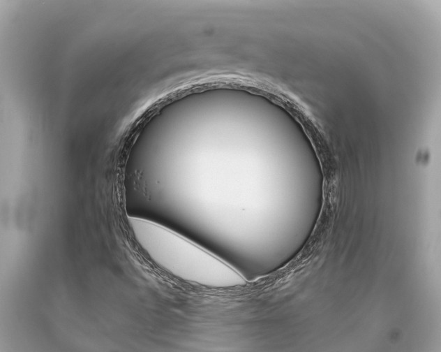 X0000094181496200710260919