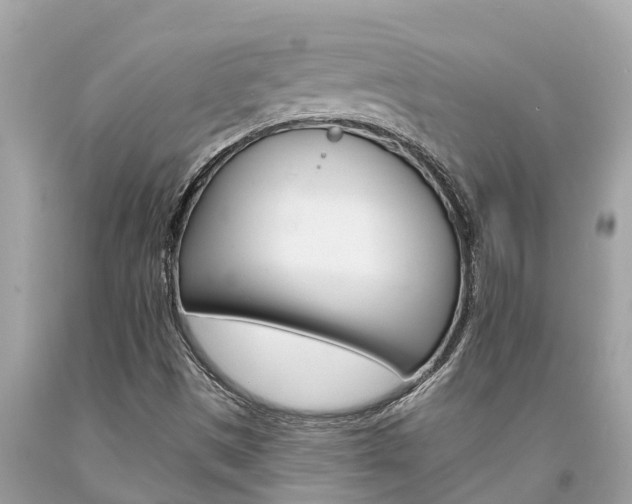 X0000094181497200710260919