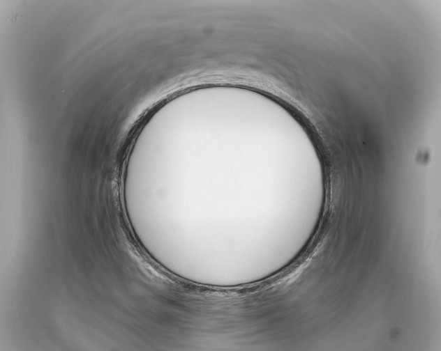 X0000094181498200710260919
