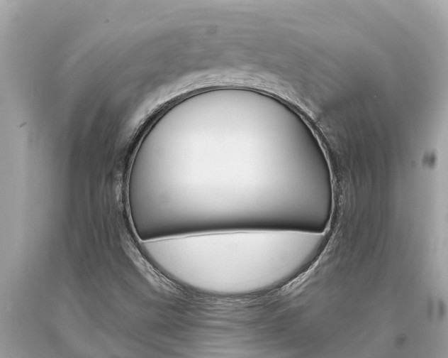 X0000094181499200710260919