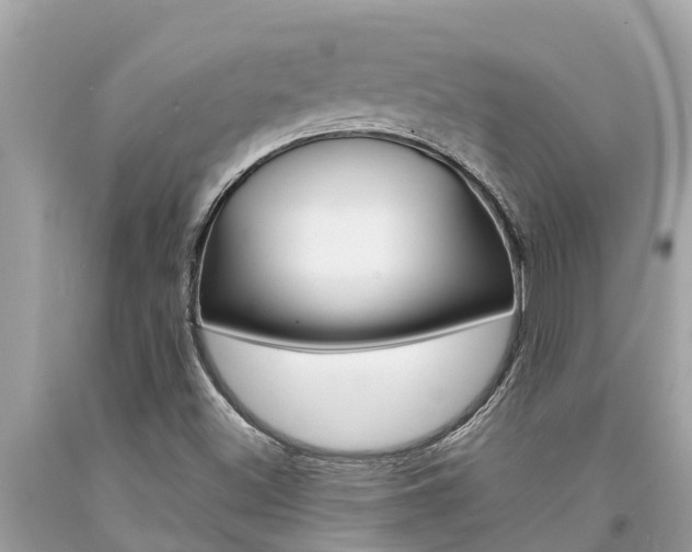 X0000094181500200710260919