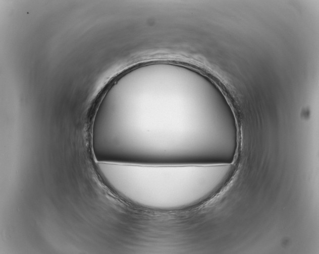 X0000094181501200710260919