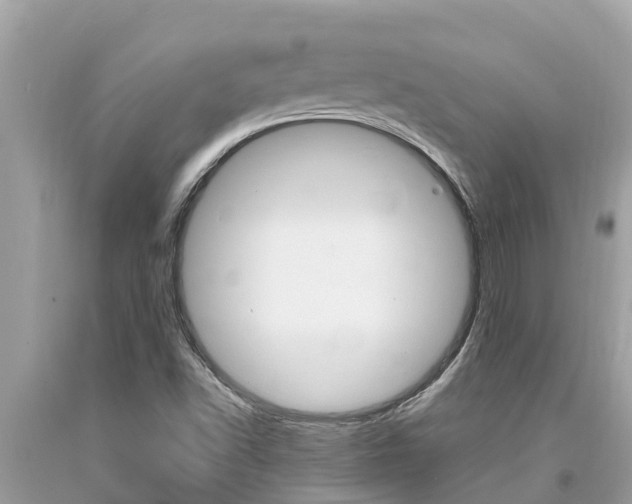 X0000094181502200710260919