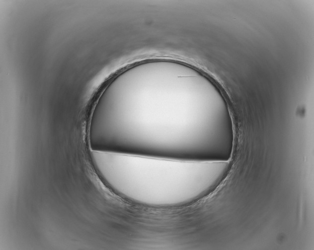 X0000094181503200710260920