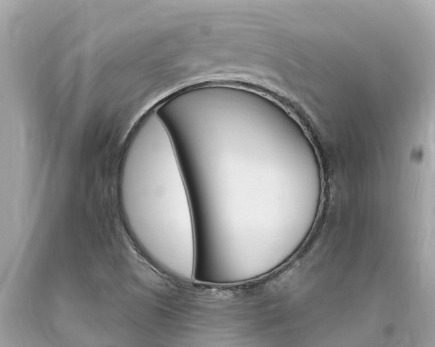 X0000094181505200710260920
