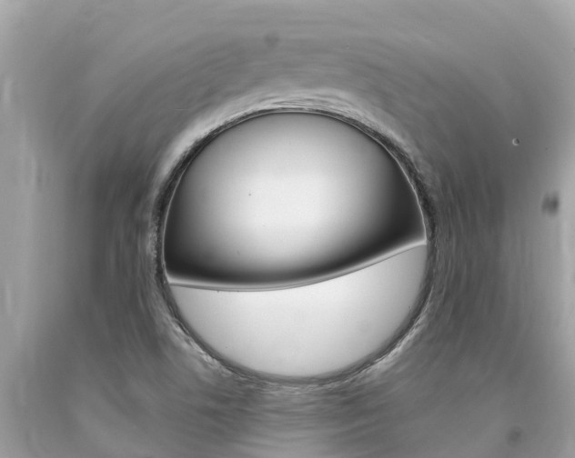 X0000094181506200710260920