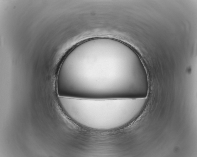 X0000094181507200710260920