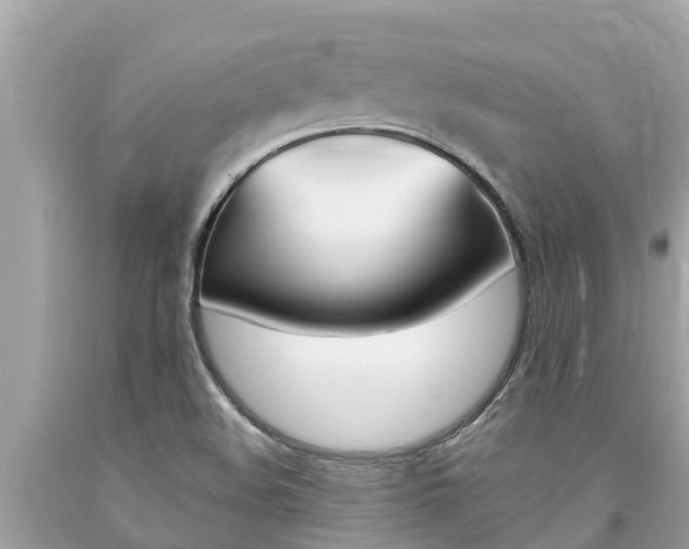 X0000094181508200710260920