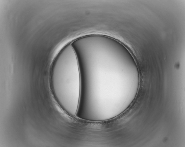 X0000094181511200710260920