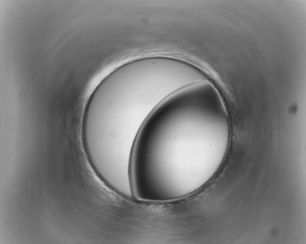 X0000094181512200710260920