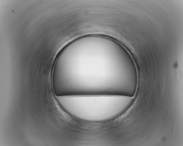 X0000094181513200710260920