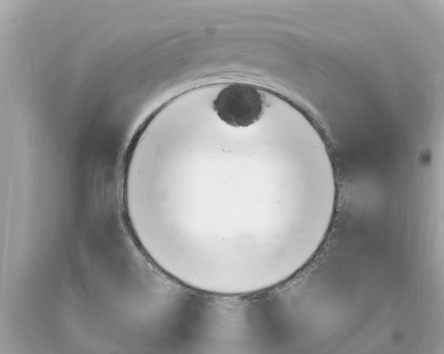 X0000094181514200710260920