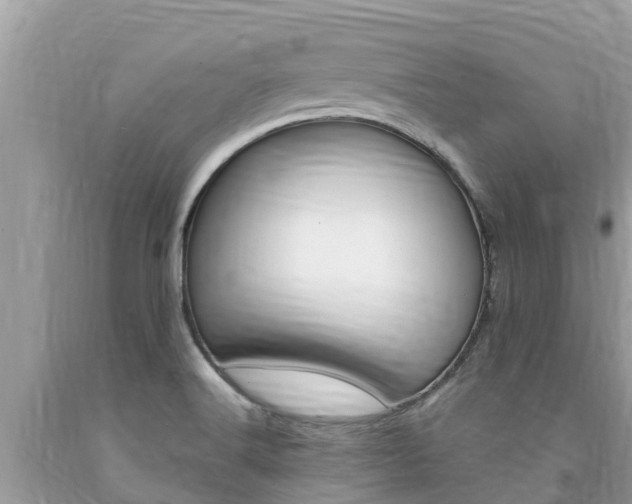 X0000094181516200710260920